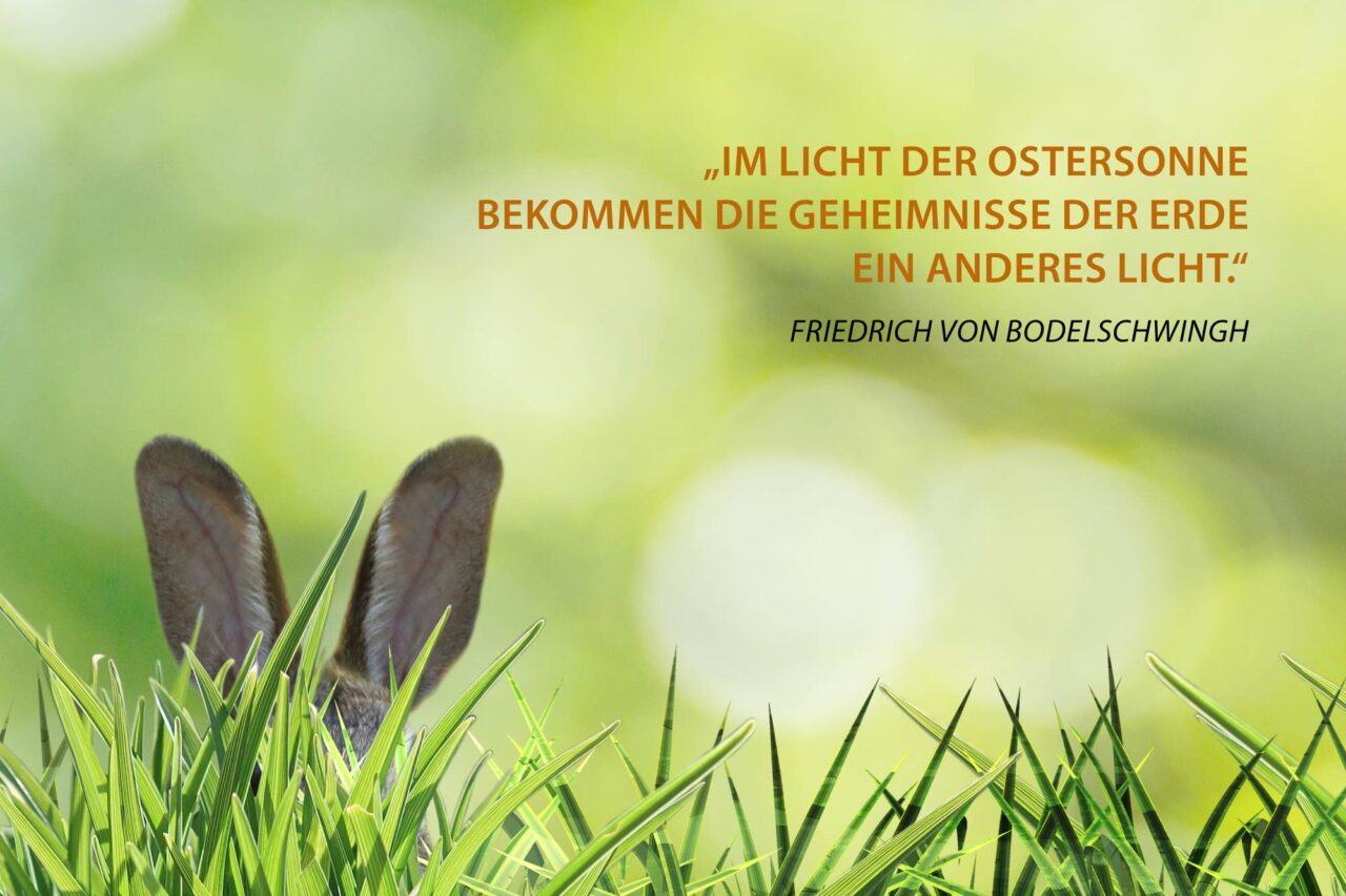 Frohe Ostern wünscht das Erasmus Gymnasium