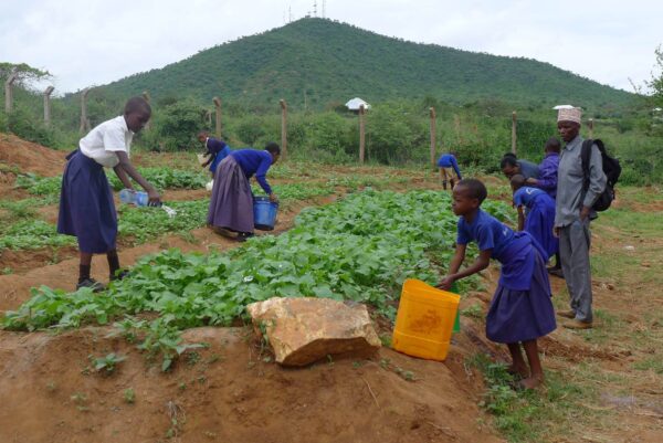Das Erasmus Gymnasium pflegt eine besondere Schulpartnerschaft mit der Relijuu Primary School, einer Grundschule im Norden Tansanias